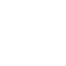 strength_icon