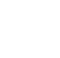strength_icon