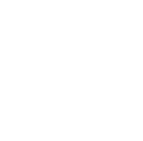 strength_icon