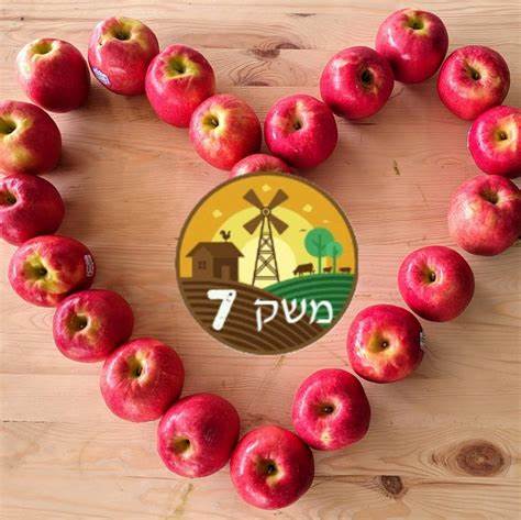 משק 7 