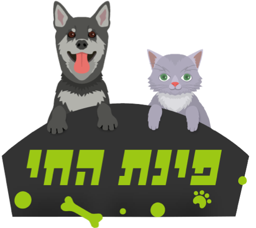 פינת החי