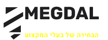 לוגו