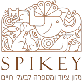 לוגו