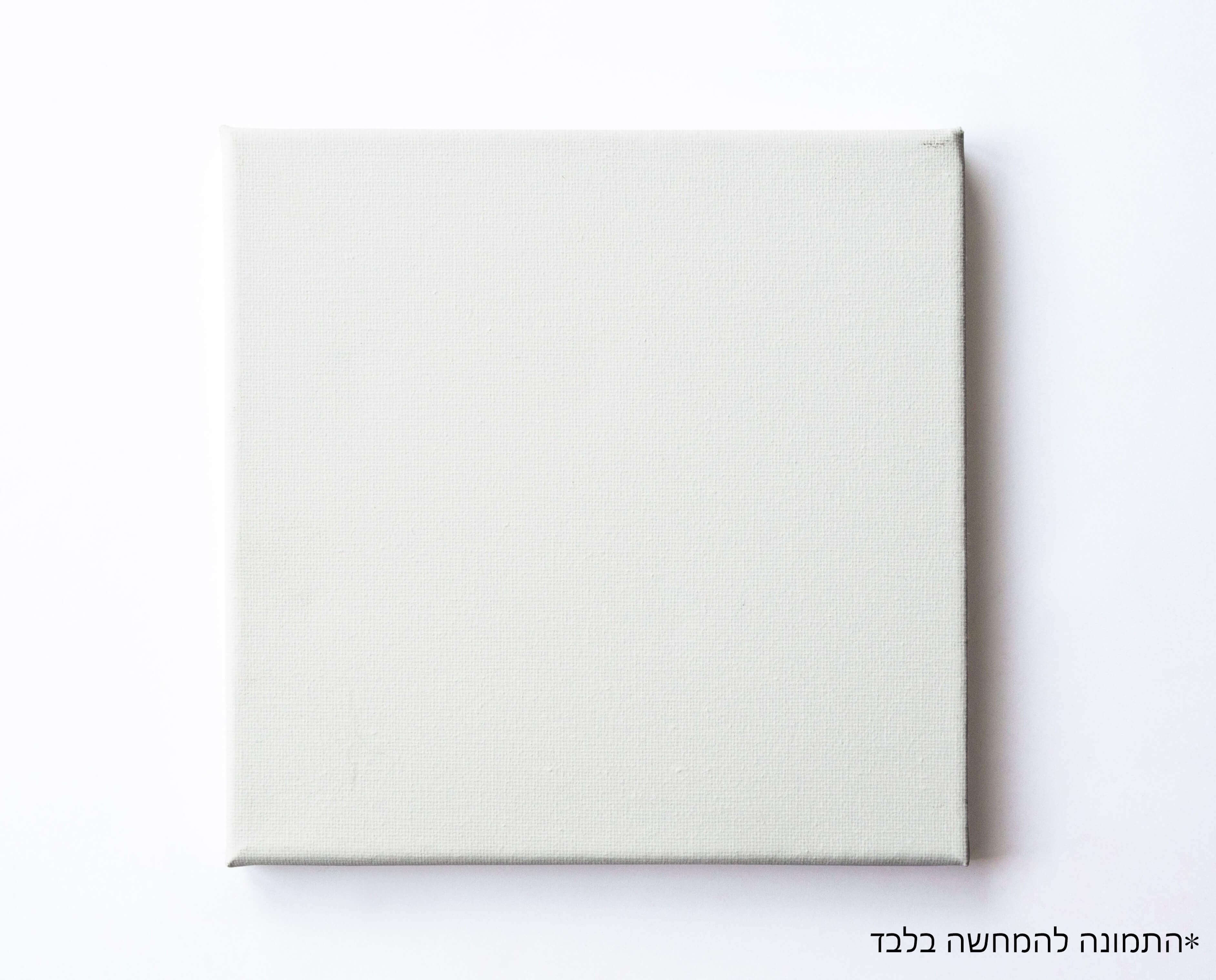 קנבס סיני 60X60