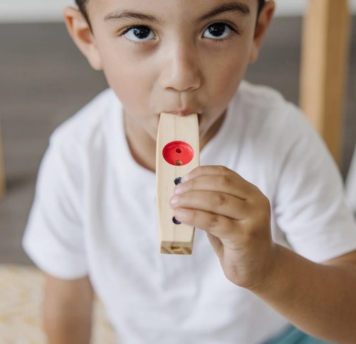 קאזו Kazoo לנגינה מעץ מלא לילדים