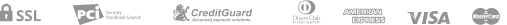 payment_icon