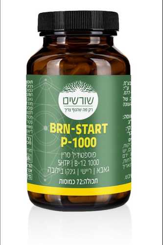 שורשים BRN-START
