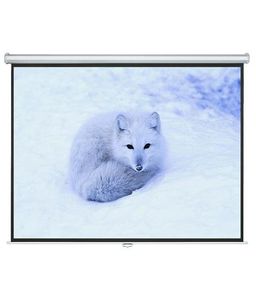 מסך הקרנה ידני 2.44X2.44 מטר Jeason Screen