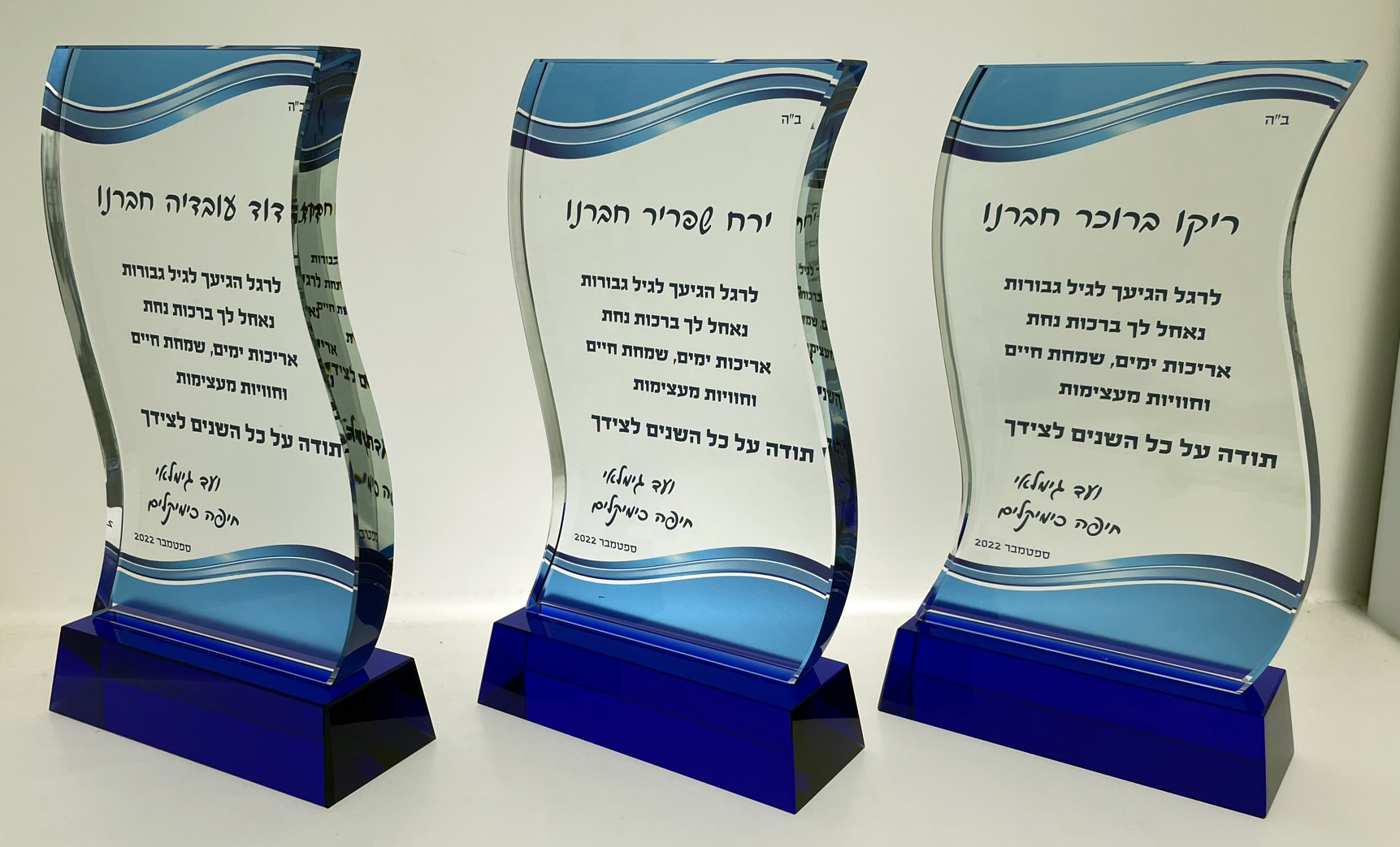 מגן הוקרה Blue Wave