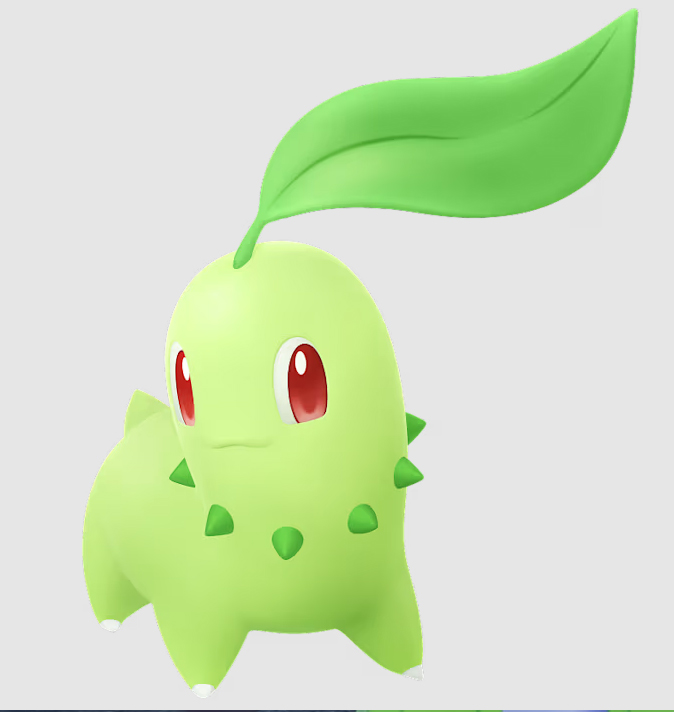 Chikorita