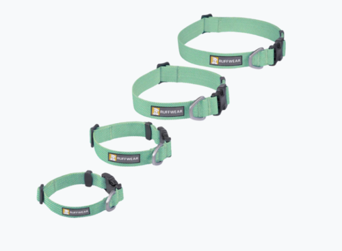 Hi & Light™ Collar