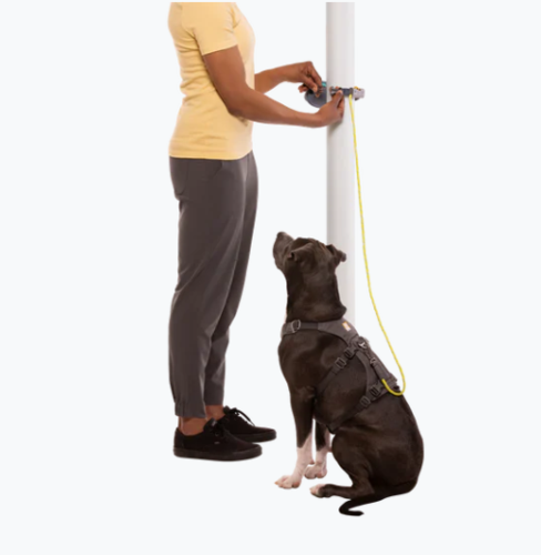 Hitch Hiker™ Leash
