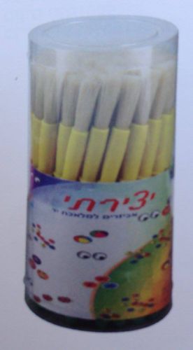 מכחול פלסטיק