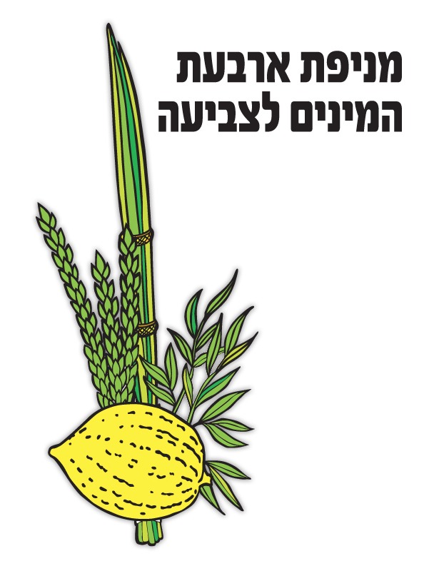 מניפת ארבעת המינים לצביעה