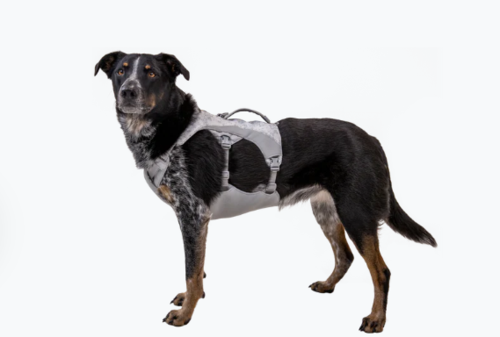 Swamp Cooler™ Harness