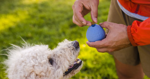 Turnup™ Throw Toy