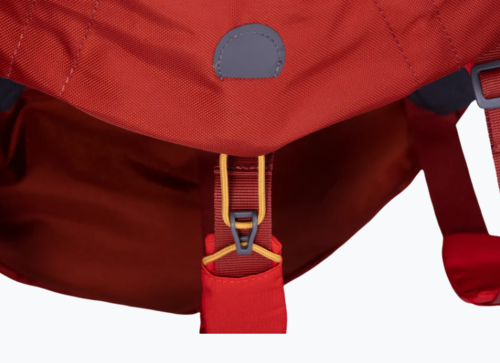 Palisades™ Dog Backpack