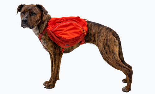 Palisades™ Dog Backpack