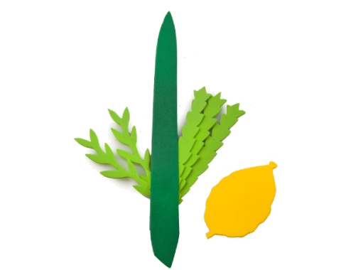 חיתוכי סול - ארבעת המינים - 70 יח'