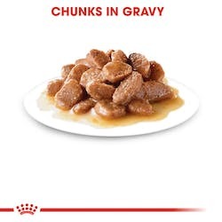רויאל קנין Royal Canin לחתול אינסטינקטיב פאוץ' חתיכות ברוטב 12 יחידות