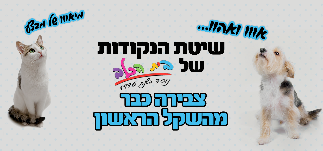 נקודות מועדון בית הכלב – איך זה עובד?