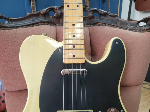 Fender 