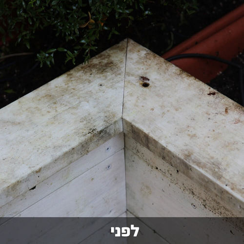 מרענן ומבהיר עץ