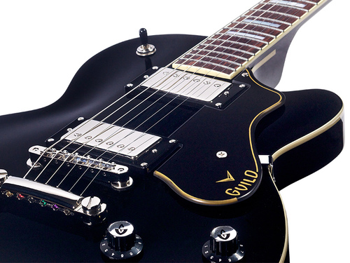 זוית נוספת GUILD BLUESBIRD in black