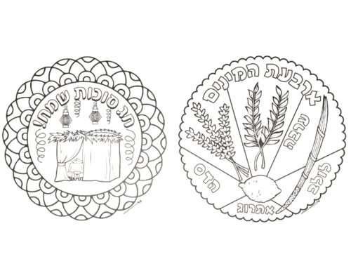 מנדלה לסוכות - 36 יח'