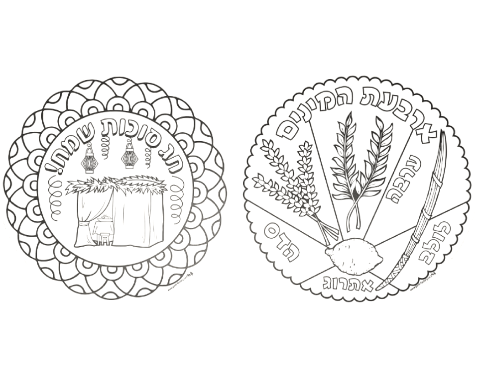 מנדלה לסוכות - 36 יח