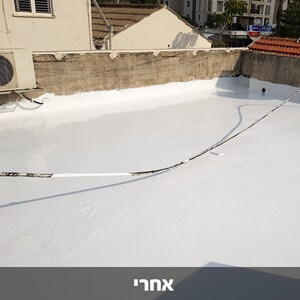 בלאק ג'ק -120 חומר איטום גגות 100% סיליקון גלון 18 ליטר 