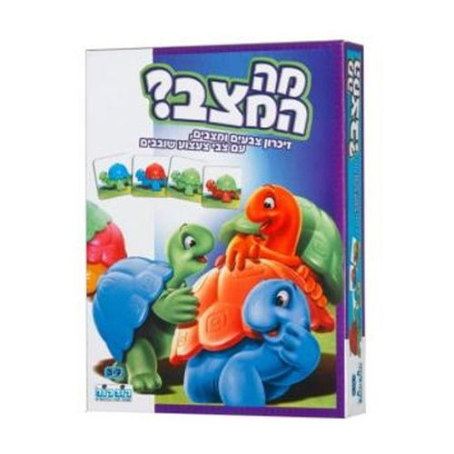 מה המצב