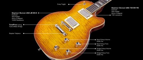 זוית נוספת GUILD Bluesbird in iced tea burst