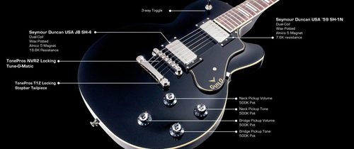 זוית נוספת GUILD BLUESBIRD in black