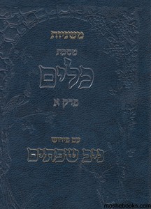 ניב שפתיים מסכת כלים