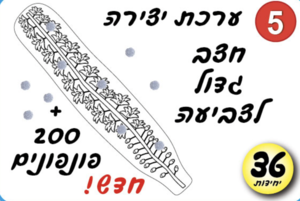 ערכת יצירה חצב