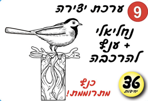 ערכת יצירה נחליאלי