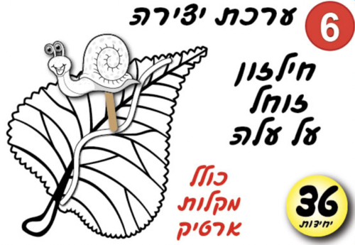 ערכת יצירה חילזון זוחל