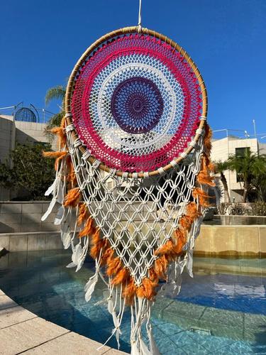 לוכד חלומות 