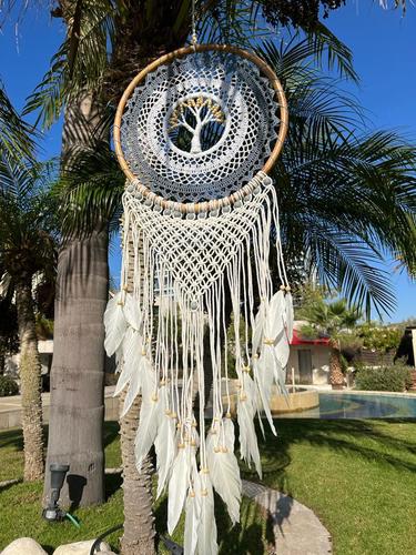 לוכד חלומות 