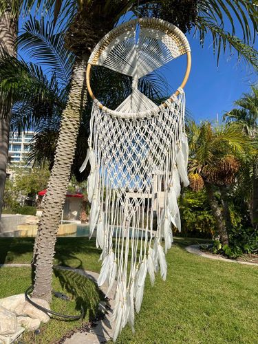 לוכד חלומות 