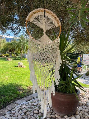 לוכד חלומות 