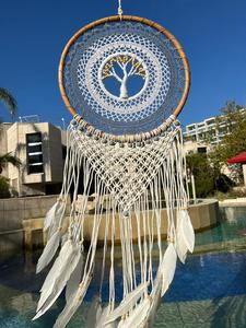 לוכד חלומות 