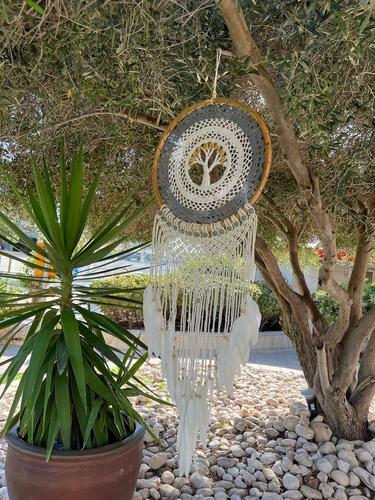 לוכד חלומות 