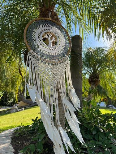 לוכד חלומות 