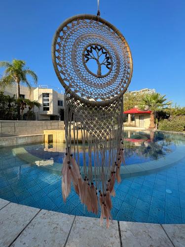 לוכד חלומות 