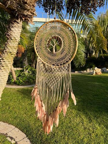 לוכד חלומות 