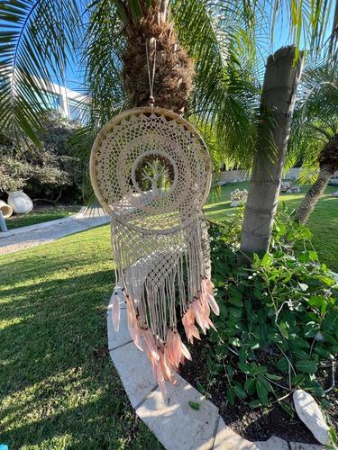 לוכד חלומות 