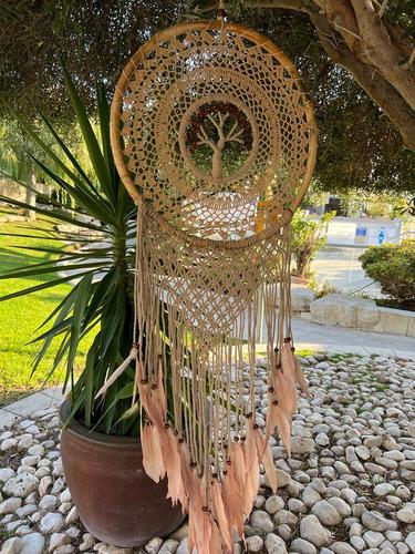 לוכד חלומות 