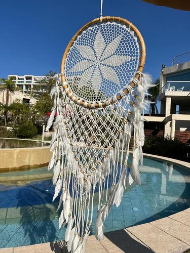 לוכד חלומות 